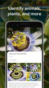 Google Lens screenshot 3