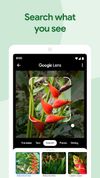 Google Photos screenshot 3