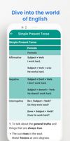 Grammar Pro: Basics & Tests screenshot 3