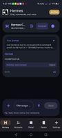 Hermes Agent Fork screenshot 1