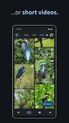 Heron for bluesky screenshot 3