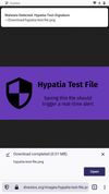 Hypatia Malware Scanner screenshot 2