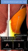 iMuscle 2 screenshot 2