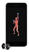 iMuscle 2 screenshot 1