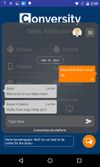In-App Live Chat SDK Demo screenshot 3