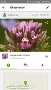 iNaturalist screenshot 1