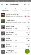 iNaturalist screenshot 3