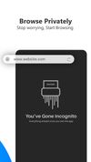 Incognito Browser screenshot 2