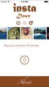 instadown screenshot 1