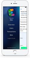 Application menu
