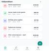 expenses shown on home tab