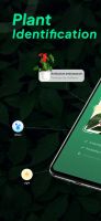 LeafSnap Plant Identification screenshot 1