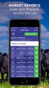 Livestock Runner screenshot 2