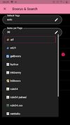 LoliSnatcher screenshot 2