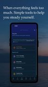 Regulate tab with Crisis Protocol for meltdown, shutdown and panic, plus 5-4-3-2-1 grounding, Sensory Menu, Steady Focus working sessions, and Transition Timer.