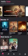 Home Screen Interface
