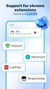 Mask Browser screenshot 2