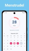 Period logs screen