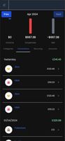 View daily spendings in detail
