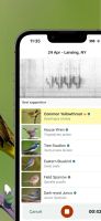 Merlin Bird ID screenshot 3