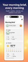 Morning Brief screenshot 1