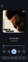 Song Playing