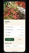 AI Plant Identification
