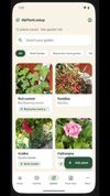 Personalised Plant Care Guide