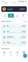 Expense overview