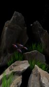NANO AQUARIUM screenshot 1