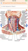 Netter's Anatomy Atlas 7e screenshot 3