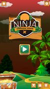 ninja gameplay