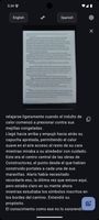 Offline Translator screenshot 2