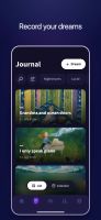 Dream journaling