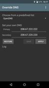 Override DNS screenshot 1