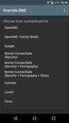 Override DNS screenshot 2