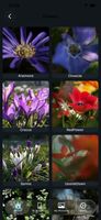 flower catalog