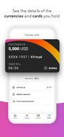 Payoneer screenshot 3