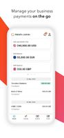 Payoneer screenshot 1