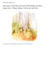 Original PDF pages before conversion