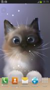 Peper Kitten Live Wallpaper screenshot 1