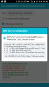 DNS Setting