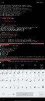 PhantomCollect running locally on Kali Linux.
Example of ethical and transparent environment data collection — including IP, device, and browser details — for educational cybersecurity research