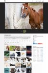 Photohab screenshot 3