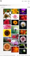 Photohab screenshot 2