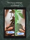 Plant Doctor : Disease Diagnosis screenshot 3