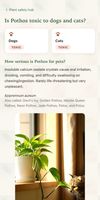Plant-safety page: dog and cat toxicity, severity and symptoms for each species