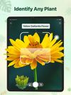 Plant identifier - Find Insect screenshot 1
