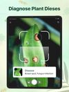 Plant identifier - Find Insect screenshot 2