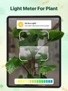 Plant identifier - Find Insect screenshot 3